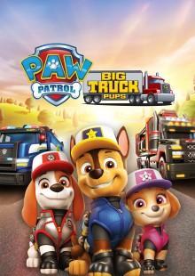 Patrulha Canina Filhotes Caminhoneiros